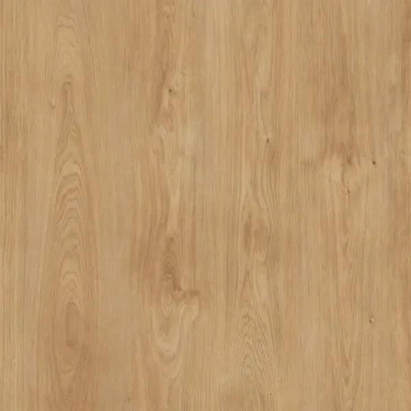 Beautifloor Henegouwen Celles