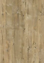 Quick-Step Impressive Rogge Eik